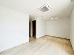 Whitley Road (D11), Semi-Detached #502446281